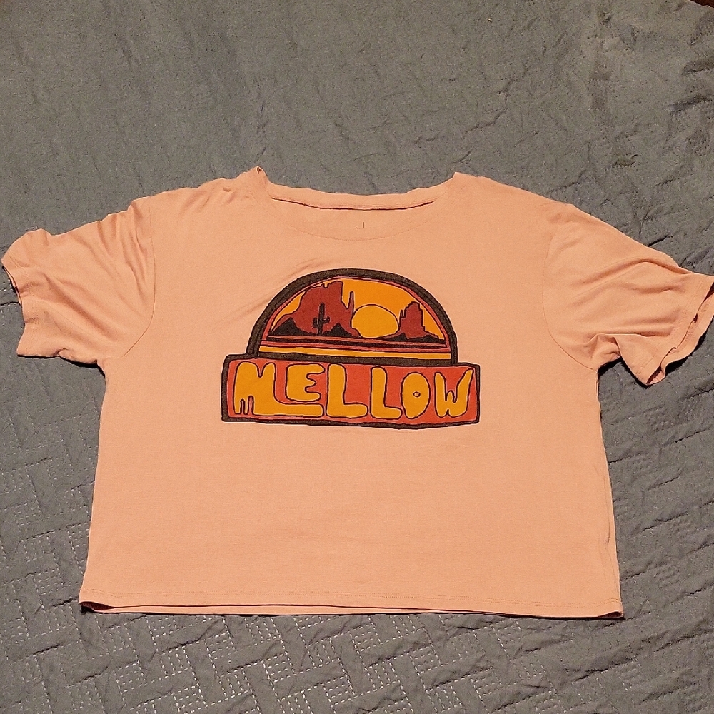 Sunset Graphic Peach Crop Top